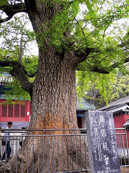 河南省．登封市．嵩山-少林寺.漢傳佛教的禪宗祖庭.號稱天下第一名剎15.jpg