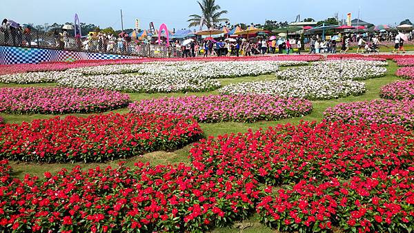 2015新社花海節&臺中國際花毯節20151111