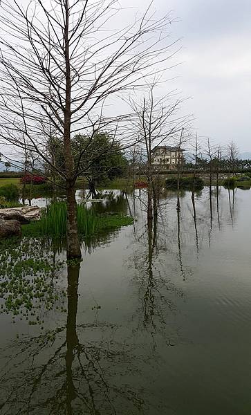 花蓮吉安鄉-松湖驛站周遭景觀07