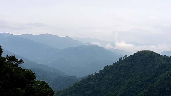 阿里山路邊景觀咖啡05