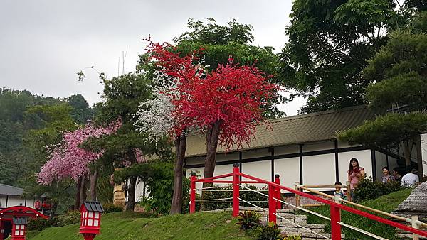 看不出特色的-「桃太郎村」07