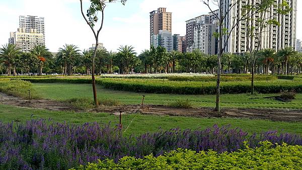 20160628 高雄市景