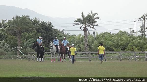 台開心農場會場8