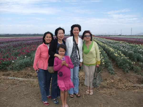 Flower field