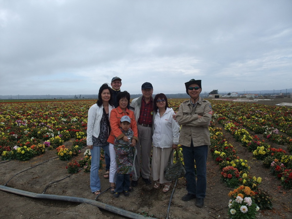 Flower Field