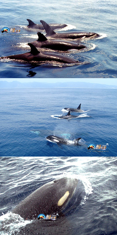 400x800拷貝.jpg 400x800拷貝.jpg