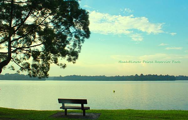 Lower peirce Reservoir Park