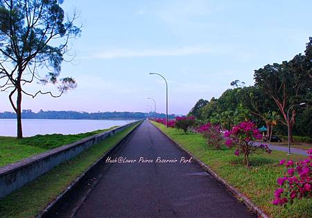  Lower Peirce Reservoir Park