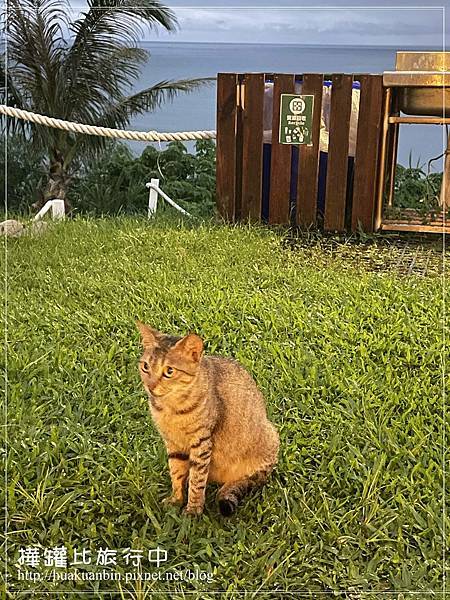 IMG_1674 拷貝.jpg IMG_1674 拷貝.jpg