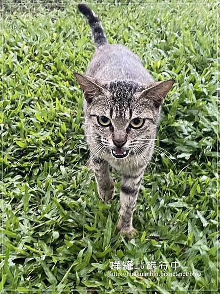 IMG_1670 拷貝.jpg IMG_1670 拷貝.jpg