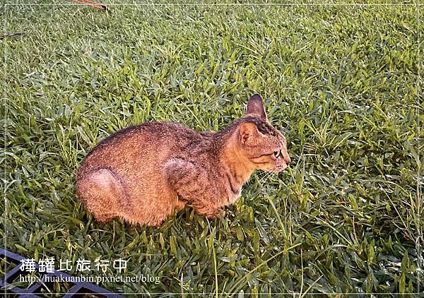 IMG_1675 拷貝.jpg IMG_1675 拷貝.jpg