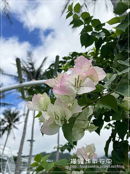 IMG_1734 拷貝.jpg IMG_1734 拷貝.jpg