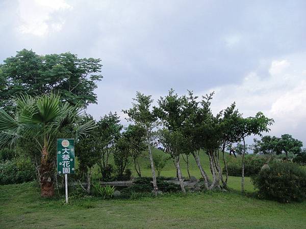 7 大榮花園 (1)