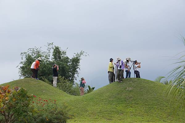 7 大榮花園 (5)