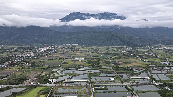 蘋果樹民宿