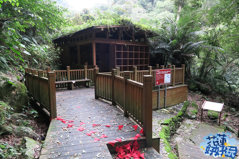 IMG_6218.jpg IMG_6218.jpg