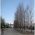67.jpg