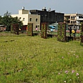 桃園景點推薦-賞花秘境2013蘆竹幸福花海祭