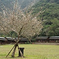 花蓮美食推薦-太魯閣創意原住民料理＂布洛灣立德飯店＂