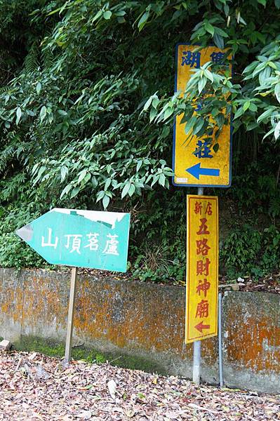 2014台北景點推薦-花園新城後山油桐花秘境＂直潭山登山步道＂嬰兒車也很方便喔