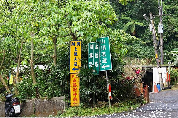 2014台北景點推薦-花園新城後山油桐花秘境＂直潭山登山步道＂嬰兒車也很方便喔