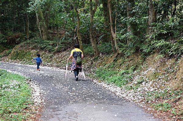 2014台北景點推薦-花園新城後山油桐花秘境＂直潭山登山步道＂嬰兒車也很方便喔