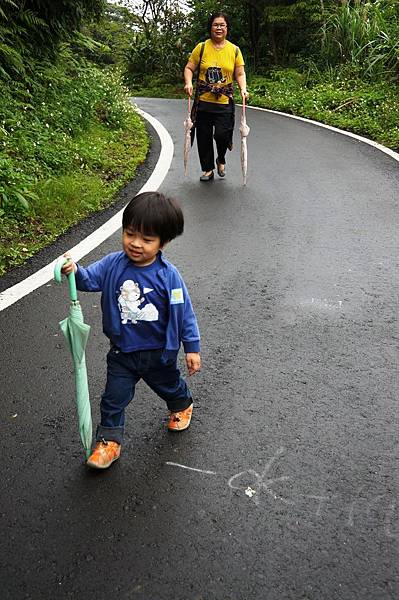 2014台北景點推薦-花園新城後山油桐花秘境＂直潭山登山步道＂嬰兒車也很方便喔