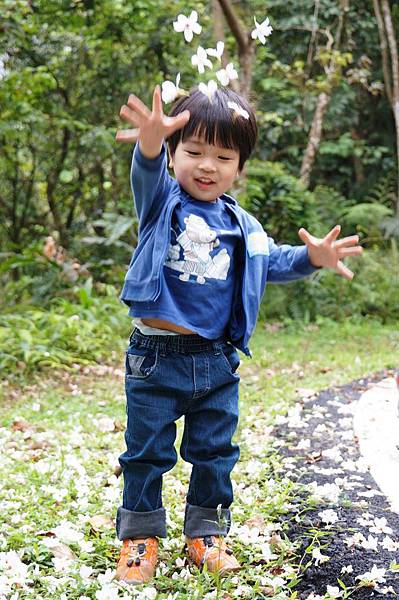 2014台北景點推薦-花園新城後山油桐花秘境＂直潭山登山步道＂嬰兒車也很方便喔