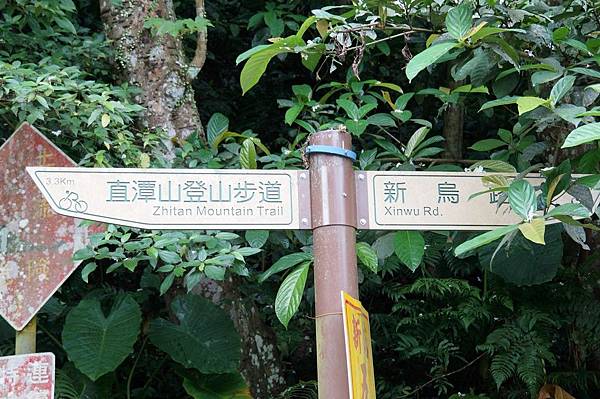 2014台北景點推薦-花園新城後山油桐花秘境＂直潭山登山步道＂嬰兒車也很方便喔