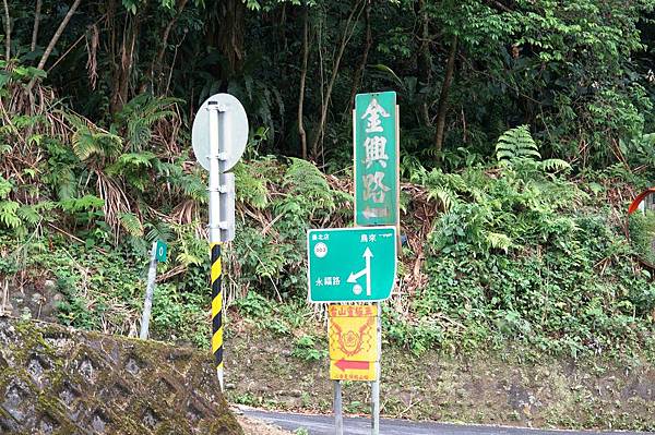 2014台北景點推薦-花園新城後山油桐花秘境＂直潭山登山步道＂嬰兒車也很方便喔