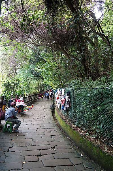 新北市景點推薦-2014油桐花路線＂桐花公園．承天寺．＂4/26現場花況