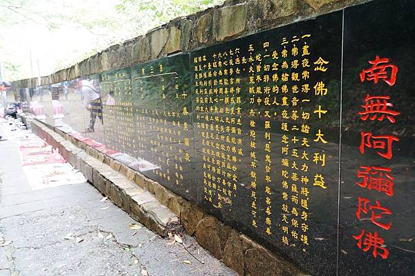 新北市景點推薦-2014油桐花路線＂桐花公園．承天寺．＂4/26現場花況