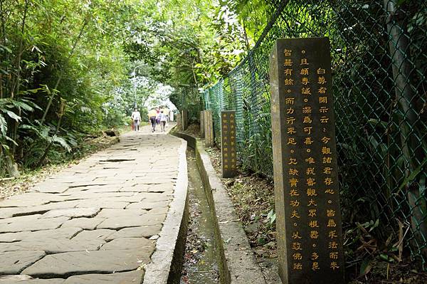新北市景點推薦-2014油桐花路線"桐花公園.承天寺."4/26現場花況