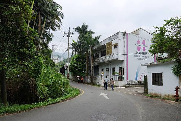 新北市景點推薦-2014油桐花路線＂桐花公園．承天寺．＂4/26現場花況