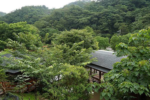 苗栗民宿推薦-超舒服宛如國外的森林飯店＂喆娟夢田民宿＂