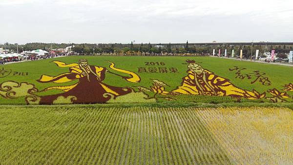 霹靂稻田