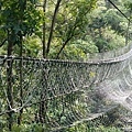 大坑農場