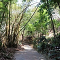大坑農場
