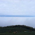 雲嶺之丘