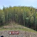 五元兩角