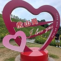 虎山巖金針花