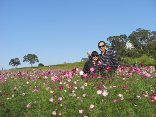 20081130(1) 20081130(1)