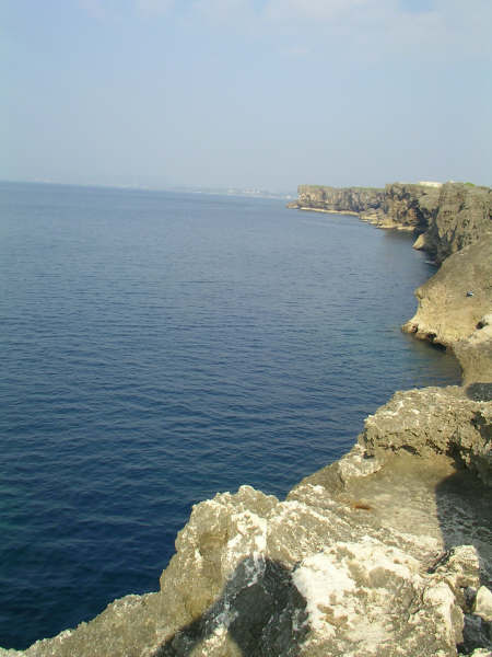 SANY0081.JPG