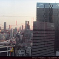 SDC15297.JPG