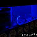 DSC02578_浮水印.JPG