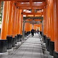 P1300402_浮水印.JPG