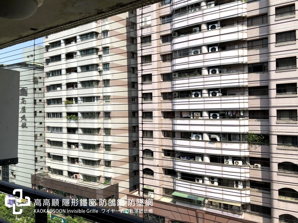 苓雅區-真善美(貓02.jpg 苓雅區-真善美(貓02.jpg