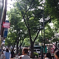 P1010103.JPG