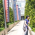 P1010177.JPG
