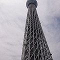 P1010239.JPG